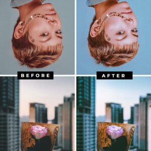 inception-theme-lightroom-photo-preset-before-after