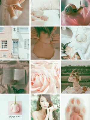 softgirl-aesthetic-preset softgirl-aesthetic-preset