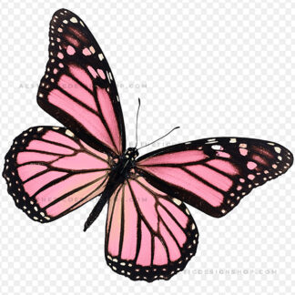 aesthetic-pink-butterfly-by-Lu-Amaral-Studio-13