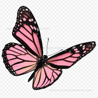 aesthetic-pink-butterfly-by-Lu-Amaral-Studio-8