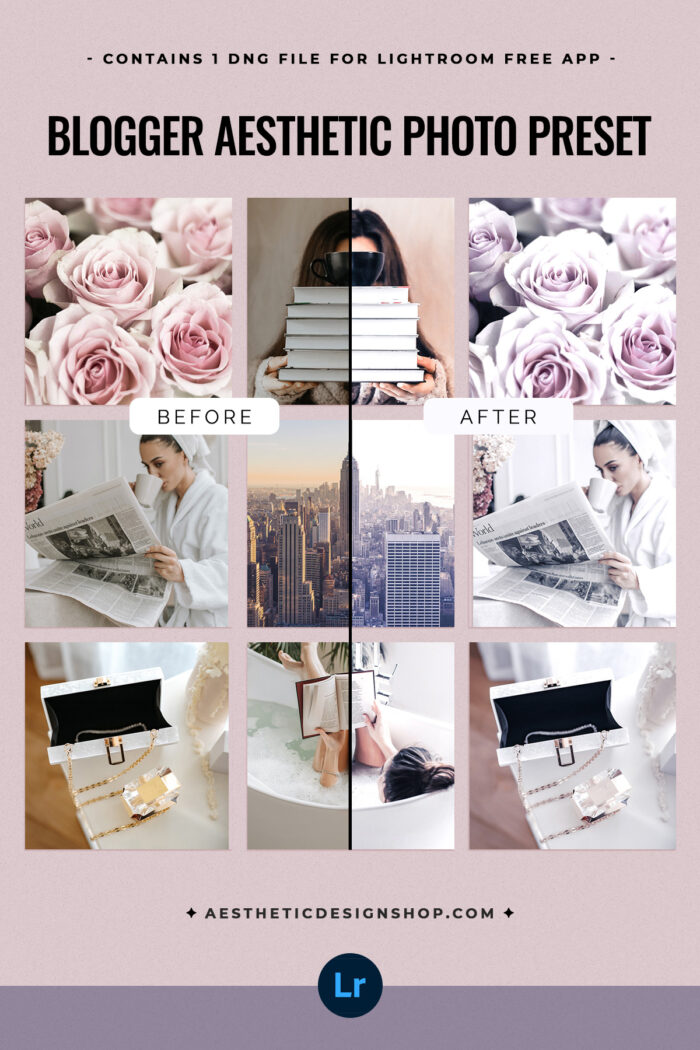 blogger-aesthetic-photo-edit-preset