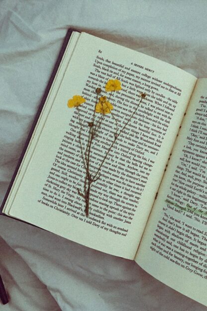 Yellow Aesthetic Lightroom Photo and Video Preset