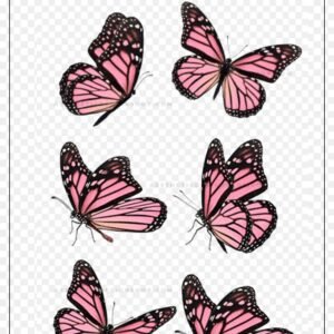pink monarch png butterfly sticker set
