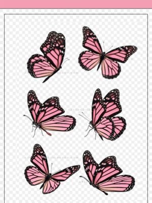 pink monarch png butterfly sticker set