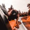 Golden Fall Aesthetic Lightroom Photo Preset