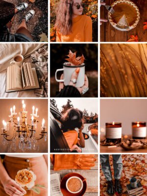Golden Fall Aesthetic Lightroom Photo Preset