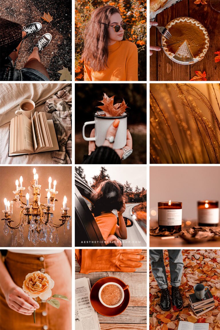 Golden Fall Aesthetic Lightroom Photo Preset