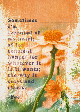 orange flower poe quote