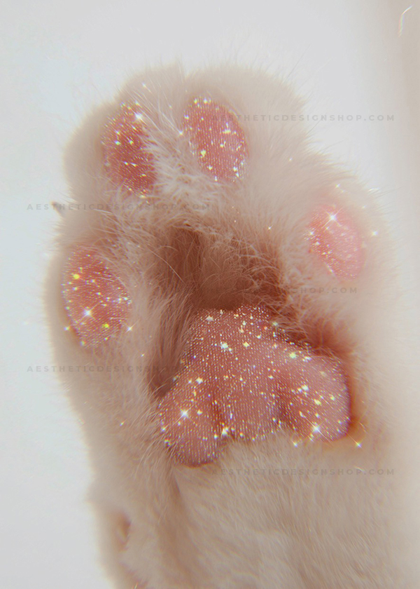 Bling aesthetic kitty paw image