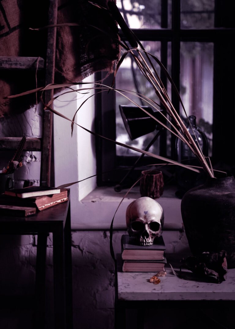 halloween-aesthetic-lightroom-preset-by-aesthetic-design-shop-lu-amaral-studio2 Halloween Aesthetic Lightroom Photo Preset