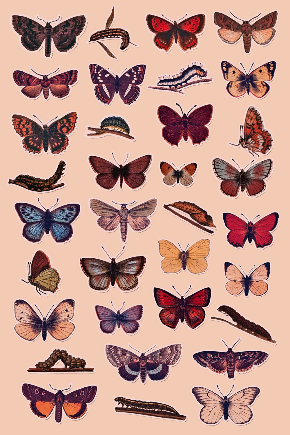 Vintage butterfly aesthetic set: 50 stickers, phone and computer wallpapers and 130 home screen app icons