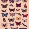 Vintage butterfly aesthetic set: 50 stickers, phone and computer wallpapers and 130 home screen app icons