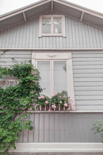 Aesthetic image of cute summer cottage decorated with pink flowers
