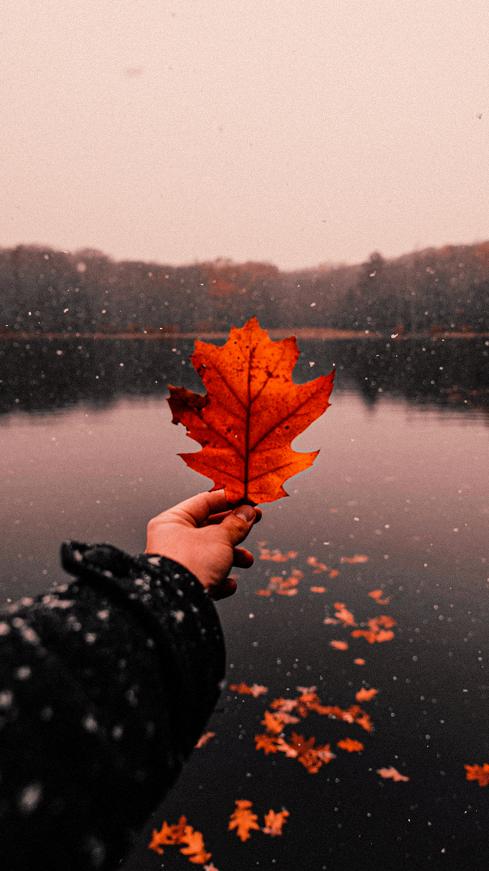 aesthetic-fall-wallpaper-images-49