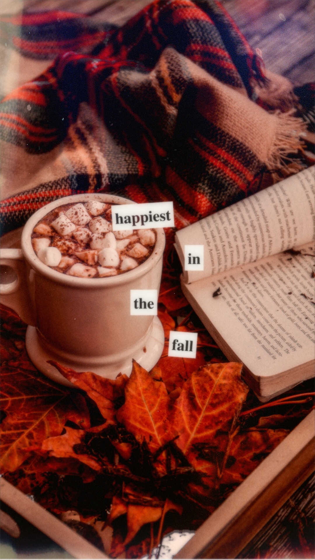 30 Aesthetic Instagram caption ideas for Fall photos ⋆ The Aesthetic Shop