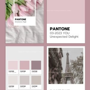 8 Editable Pantone Canva templates 3 8 Editable Pantone Canva templates