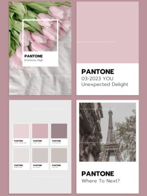 8 Editable Pantone Canva templates 3 8 Editable Pantone Canva templates
