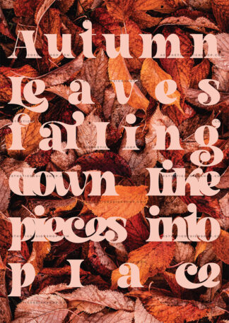 "Autumn leaves falling down like pieces into place" Fall aesthetic image for wall collage and creative projects