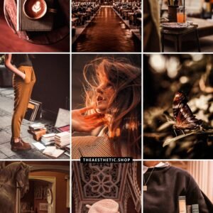 Dark Academia Aesthetic Lightroom photo and video preset Dark Academia Aesthetic Lightroom photo and video preset