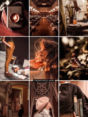 Dark Academia Aesthetic Lightroom photo and video preset Dark Academia Aesthetic Lightroom photo and video preset