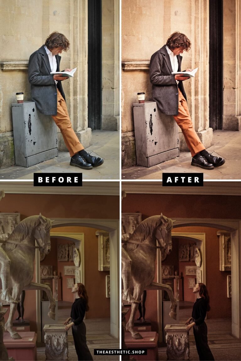 dark academia aesthetic preset before and after dark academia aesthetic image photo preset