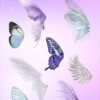 Angel & fairy wing aesthetic PNG Sticker set