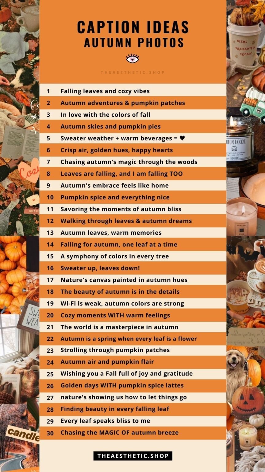 30 Aesthetic Instagram caption ideas for Fall photos ⋆ The Aesthetic Shop