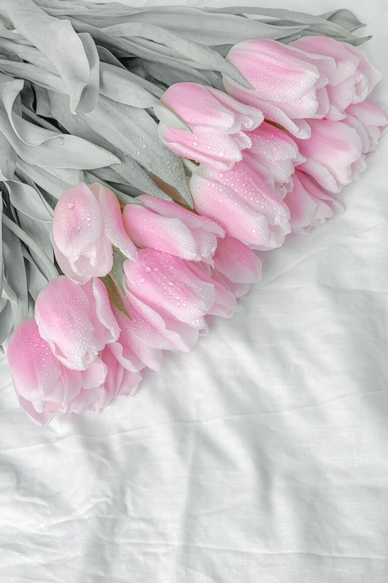 Pink Aesthetic Lightroom Photo and Video Preset