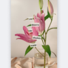 Cutout words aesthetic Canva template