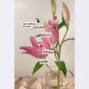 Cutout words aesthetic Canva template