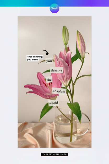 Cutout words aesthetic Canva template