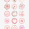 Coquette Aesthetic Instagram Highlights 2