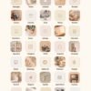Vanilla Girl Aesthetic Customization Kit: Phone + desktop icons, graphics, images and more