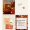 Fall Aesthetic Template Pack #1