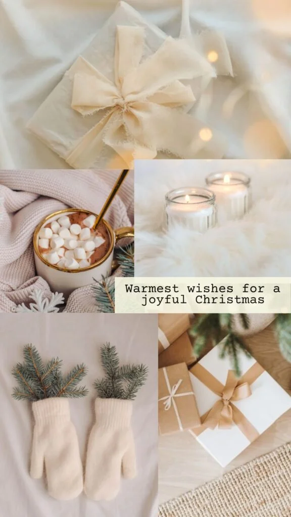 aesthetic-merry-christmas-post-