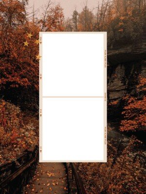 fall-aesthetic-background-image-for-social-media-posts