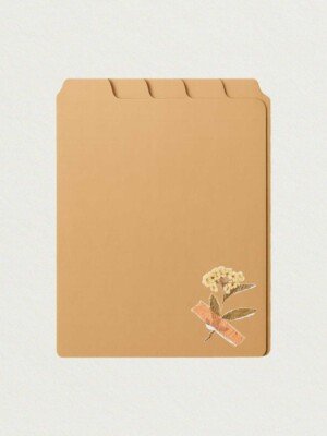 fall-aesthetic-background-image-for-social-media-posts