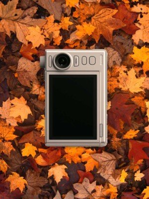 fall-aesthetic-background-image-for-social-media-posts