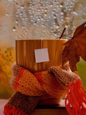 fall-aesthetic-background-image-for-social-media-posts